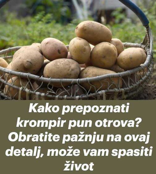2-492