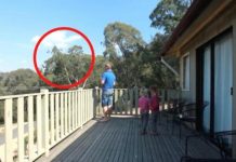 OTAC ILIJA UHVAĆEN SA ĆERKAMA NA BALKONU, MAJKA ODMAH IZLETJELA: Vrištali su dok su to radili (VIDEO) OTAC ILIJA UHVAĆEN SA ĆERKAMA NA BALKONU, MAJKA ODMAH IZLETJELA: Vrištali su dok su to radili (VIDEO) - featured image