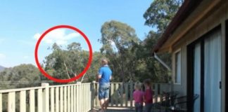 OTAC ILIJA UHVAĆEN SA ĆERKAMA NA BALKONU, MAJKA ODMAH IZLETJELA: Vrištali su dok su to radili (VIDEO) OTAC ILIJA UHVAĆEN SA ĆERKAMA NA BALKONU, MAJKA ODMAH IZLETJELA: Vrištali su dok su to radili (VIDEO) - featured image