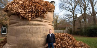 NIKAD ne bacaj jesensko lišće! EVO ZAŠTO
