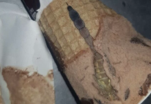 Nikada ne bih pomislio da ću pronaći ovo u svom omiljenom sladoledu!