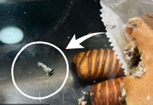 Šok u poznatoj pekari: Posle 2-3 zalogaja osetila sam nešto oštro!!!