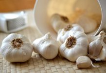 Bijeli luk ubija 14 vrsta bakterija: Prirodni “antibiotik” o kojem biste trebali znati