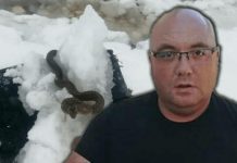 STANJE ZABRINJAVAJUĆE, OPREZ! ZMlJE lSPUZALE U SRED ZlME! Vjeruje se da 0V0 nije dobar znak: Dobro obratite pažnju na ovo!