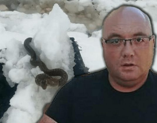 STANJE ZABRINJAVAJUĆE, OPREZ! ZMlJE lSPUZALE U SRED ZlME! Vjeruje se da 0V0 nije dobar znak: Dobro obratite pažnju na ovo!