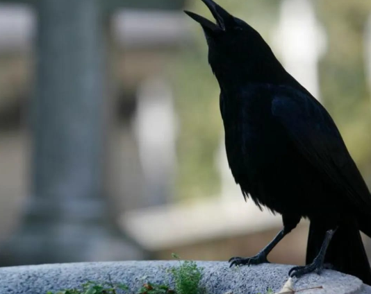 7 SIGNALA KOJE PREMINULE OSOBE ŠALJU: Poznati medijum tvrdi da je ovo ZNAK da su tu i da žele nešto da nam poruče