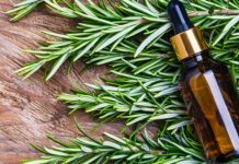 Kosa raste kao luda i PRESTAJE da opada: ŽIVA VODA za kosu, efekat će vas oduševiti!