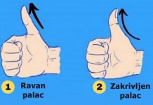 Zakrivljen ili ravan: Dobro pogledajte svoj palac, jer njegov oblik otkriva ključne osobine vaše ličnosti
