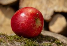 Svaki dan jedete jabuke? Evo šta se događa u vašem tijelu dok uzimate ovo voće