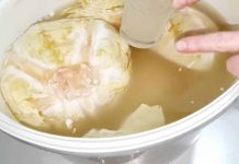 NE TROŠITE SE NA PRESKUPE PROBIOTIKE: Dr Perišić otkriva koja namirnica najbolje čisti i obnavlja crijeva, ako se ovako uzima