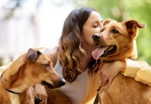 Maja je počela shvatati da njezin pas nije samo kućni ljubimac