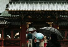 Djevojčica koja je spasila tri bebe: Priča o hrabrosti, saosjećanju i novom početku