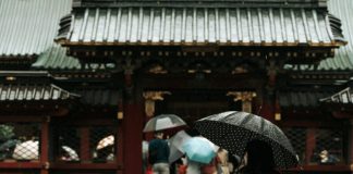 Djevojčica koja je spasila tri bebe: Priča o hrabrosti, saosjećanju i novom početku