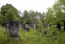 Zelena humka usred zime: neobična priča sa groblja koja je otkrila snagu roditeljske ljubavi