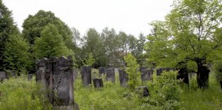 Zelena humka usred zime: neobična priča sa groblja koja je otkrila snagu roditeljske ljubavi