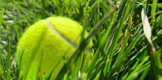 Ove noći ostavite teniske loptice razbacane po dvorištu: Stručnjaci otkrivaju iznenađujući razlog