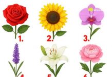 TEST: Koji cvijet vam se najviše dopada? – On otkriva kako vas drugi zapravo vide!