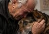 Starac je doveo svog psa da ga uspavaju jer nije mogao platiti liječenje… Ali veterinar je učinio nešto zbog čega su svi u klinici završili u suzama
