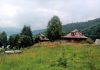 ZASTRAŠUJUĆE STVORENJE SNIMLJENO NA TARI: Sve češće ih ima u Srbiji, na mrežama zaprepašćeni – “Šta je bre ovo, SPALI GA” (FOTO) ZASTRAŠUJUĆE STVORENJE SNIMLJENO NA TARI: Sve češće ih ima u Srbiji, na mrežama zaprepašćeni - "Šta je bre ovo, SPALI GA" (FOTO) - featured image