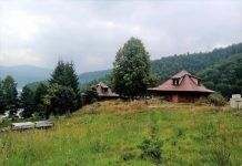 ZASTRAŠUJUĆE STVORENJE SNIMLJENO NA TARI: Sve češće ih ima u Srbiji, na mrežama zaprepašćeni – “Šta je bre ovo, SPALI GA” (FOTO) ZASTRAŠUJUĆE STVORENJE SNIMLJENO NA TARI: Sve češće ih ima u Srbiji, na mrežama zaprepašćeni - "Šta je bre ovo, SPALI GA" (FOTO) - featured image