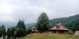 ZASTRAŠUJUĆE STVORENJE SNIMLJENO NA TARI: Sve češće ih ima u Srbiji, na mrežama zaprepašćeni – “Šta je bre ovo, SPALI GA” (FOTO) ZASTRAŠUJUĆE STVORENJE SNIMLJENO NA TARI: Sve češće ih ima u Srbiji, na mrežama zaprepašćeni - "Šta je bre ovo, SPALI GA" (FOTO) - featured image