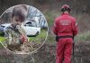 Tražili su je godinama, a onda je otkrivena š0kantna istina: Napokon riješena misterija, 0vaj scenarij niko nikad nije mogao ni da sanja Tražili su je danima, a onda je otkrivena šokantna istina: Djevojčica je ubijena, na ključno pitanje nema odgovora - featured image